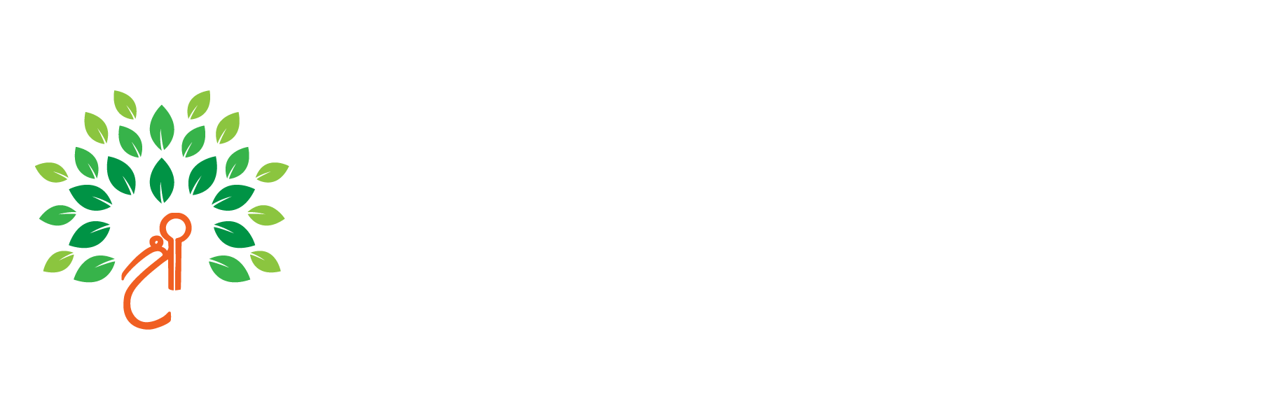 DHANYAAYAI ENTERPRISE PRIVATE LIMITED