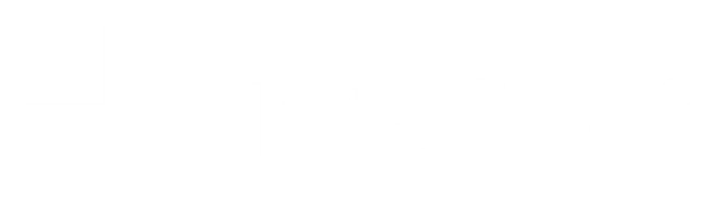 STAR INTELLISOFT SERVICES PRIVATE LIMITED